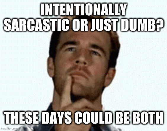 interesting | INTENTIONALLY SARCASTIC OR JUST DUMB? THESE DAYS COULD BE BOTH | image tagged in interesting | made w/ Imgflip meme maker
