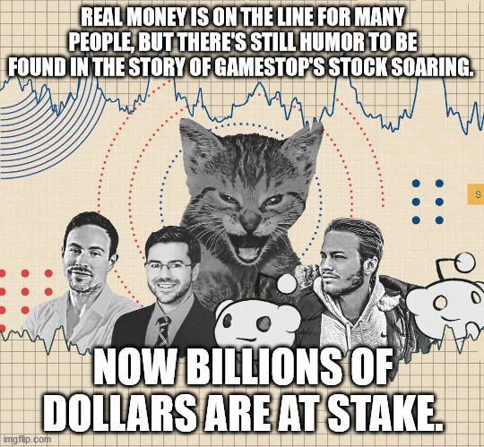 REAL MONEY IS ON THE LINE FOR MANY PEOPLE, BUT THERE'S STILL HUMOR TO BE FOUND IN THE STORY OF GAMESTOP'S STOCK SOARING. NOW BILLIONS OF DOLLARS ARE AT STAKE. | image tagged in stock market,cat,money,reddit | made w/ Imgflip meme maker