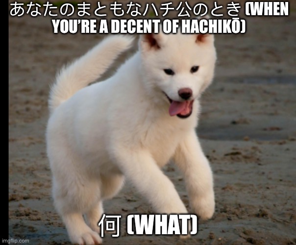 Hachikō | あなたのまともなハチ公のとき (WHEN YOU’RE A DECENT OF HACHIKŌ); 何 (WHAT) | image tagged in dogs | made w/ Imgflip meme maker