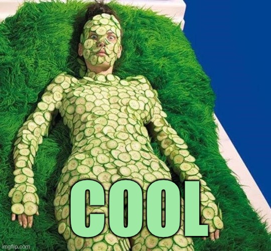 COOL | made w/ Imgflip meme maker