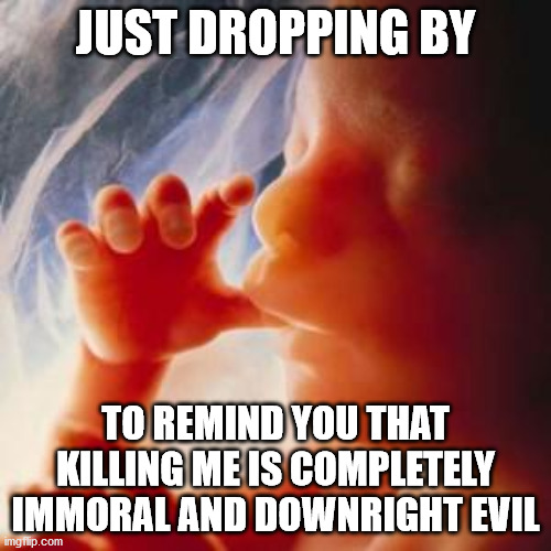 Fetus | JUST DROPPING BY; TO REMIND YOU THAT KILLING ME IS COMPLETELY IMMORAL AND DOWNRIGHT EVIL | image tagged in fetus | made w/ Imgflip meme maker