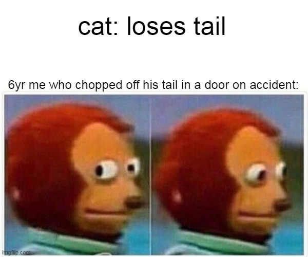 this is strange but true | cat: loses tail; 6yr me who chopped off his tail in a door on accident: | image tagged in memes,monkey puppet | made w/ Imgflip meme maker