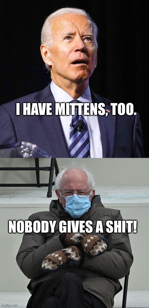 Biden Mittens Bernie | I HAVE MITTENS, TOO. NOBODY GIVES A SHIT! | image tagged in joe biden,i am twice again asking | made w/ Imgflip meme maker
