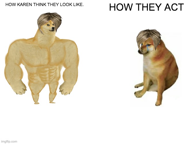 karen be like | HOW KAREN THINK THEY LOOK LIKE. HOW THEY ACT | image tagged in memes,buff doge vs cheems | made w/ Imgflip meme maker