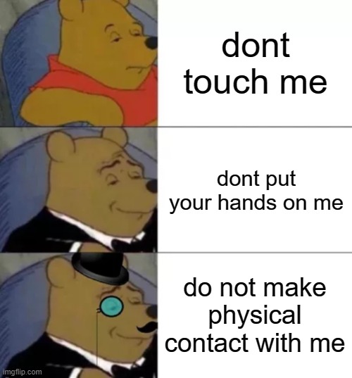 Fancy pooh | dont touch me; dont put your hands on me; do not make physical contact with me | image tagged in fancy pooh | made w/ Imgflip meme maker