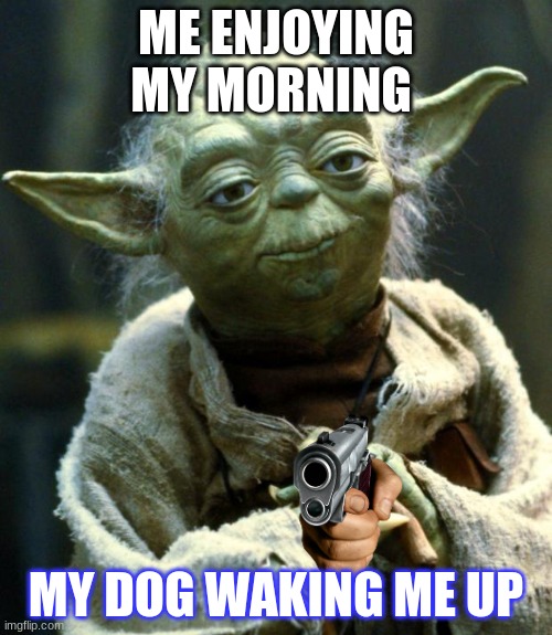 ahhhh | ME ENJOYING MY MORNING; MY DOG WAKING ME UP | image tagged in memes,star wars yoda | made w/ Imgflip meme maker