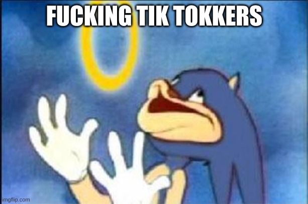 Sonic derp | FUCKING TIK TOKKERS | image tagged in sonic derp | made w/ Imgflip meme maker