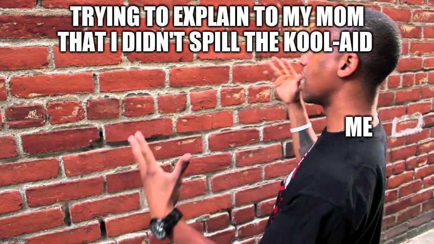 Talking to wall | TRYING TO EXPLAIN TO MY MOM THAT I DIDN'T SPILL THE KOOL-AID; ME | image tagged in talking to wall | made w/ Imgflip meme maker