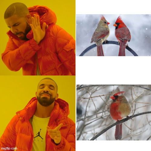 But when you combine them though | image tagged in memes,drake hotline bling,venn diagram | made w/ Imgflip meme maker