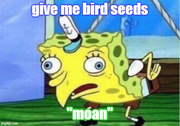 Mocking Spongebob | give me bird seeds; "moan" | image tagged in memes,mocking spongebob | made w/ Imgflip meme maker