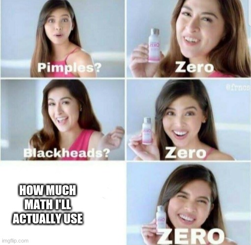 Z e r o ! | HOW MUCH MATH I'LL ACTUALLY USE | image tagged in pimples zero | made w/ Imgflip meme maker