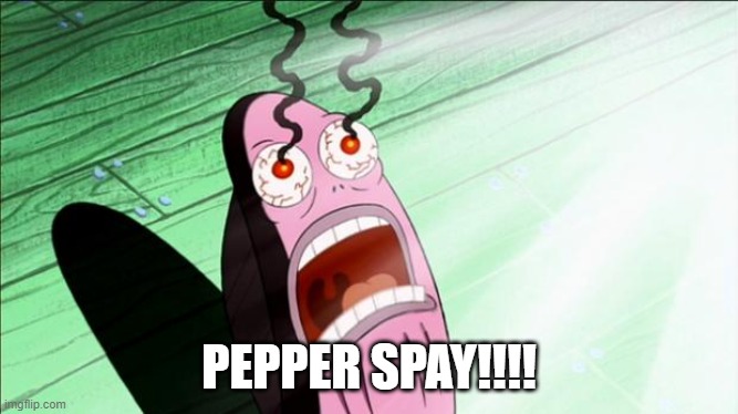 Spongebob My Eyes | PEPPER SPAY!!!! | image tagged in spongebob my eyes | made w/ Imgflip meme maker