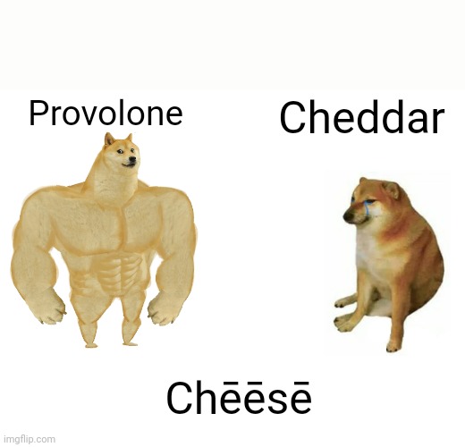 Start a fight in the comments, sure | Provolone; Cheddar; Chēēsē | image tagged in memes,buff doge vs cheems | made w/ Imgflip meme maker