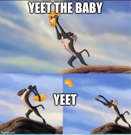lion being yeeted | YEET THE BABY; YEET | image tagged in lion being yeeted | made w/ Imgflip meme maker
