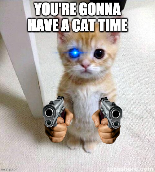 AAAAAAAAA | YOU'RE GONNA HAVE A CAT TIME | image tagged in memes,cute cat | made w/ Imgflip meme maker