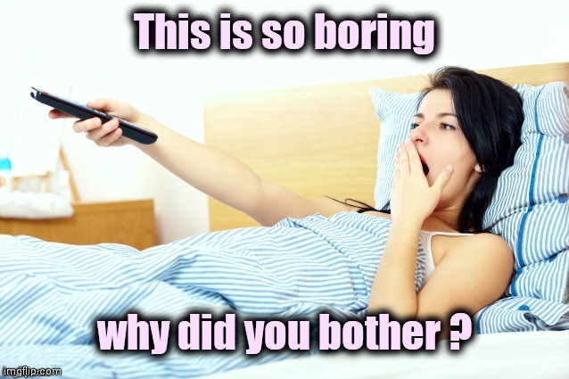 Boooriiing | This is so boring why did you bother ? | image tagged in boooriiing | made w/ Imgflip meme maker