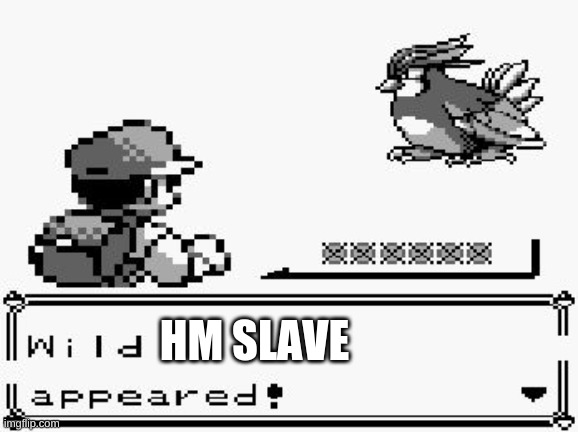 pokemon appears | HM SLAVE | image tagged in pokemon appears | made w/ Imgflip meme maker