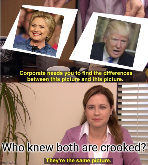 We know we didnt want her...who knew? LOL | Who knew both are crooked? | image tagged in memes,they're the same picture,lock her up,crooked hillary,trumpy the clown | made w/ Imgflip meme maker