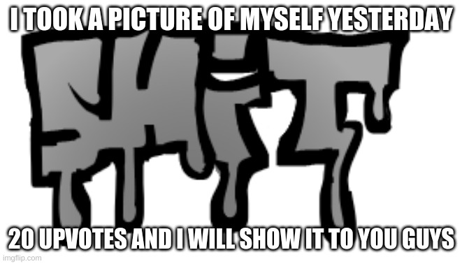 if this gets 20 upvotes i will reveal my face | I TOOK A PICTURE OF MYSELF YESTERDAY; 20 UPVOTES AND I WILL SHOW IT TO YOU GUYS | image tagged in shit | made w/ Imgflip meme maker