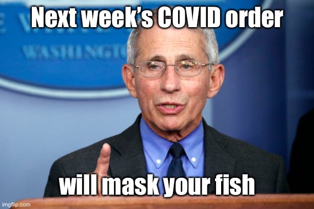 Dr. Fauci | Next week’s COVID order will mask your fish | image tagged in dr fauci | made w/ Imgflip meme maker