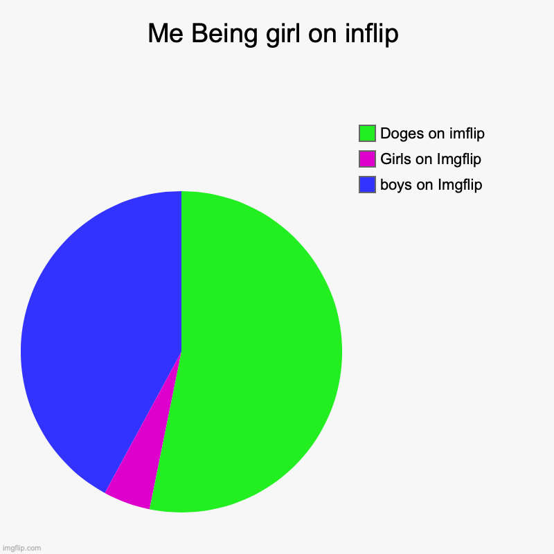 WTF | Me Being girl on inflip | boys on Imgflip , Girls on Imgflip , Doges on imflip | image tagged in charts,pie charts | made w/ Imgflip chart maker