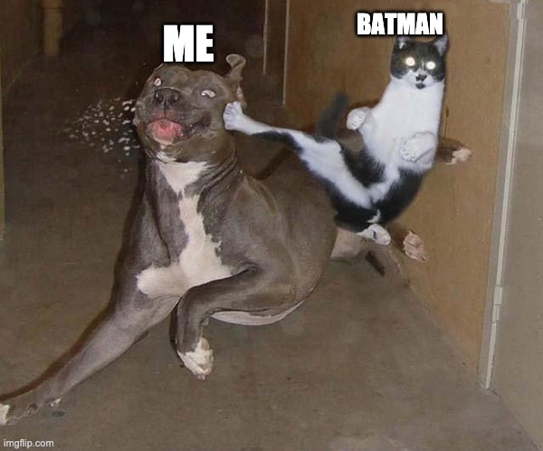 Cat and Dog | BATMAN; ME | image tagged in cat and dog | made w/ Imgflip meme maker