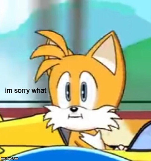 Tails hold up | im sorry what | image tagged in tails hold up | made w/ Imgflip meme maker