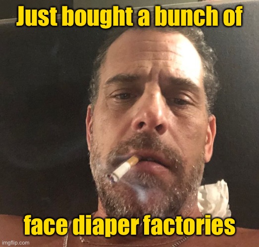 Hunter Biden | Just bought a bunch of face diaper factories | image tagged in hunter biden | made w/ Imgflip meme maker