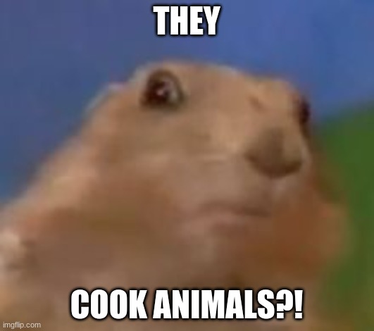 begun, the rodent wars have. | THEY; COOK ANIMALS?! | image tagged in shocked rodent | made w/ Imgflip meme maker