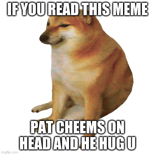 chems | IF YOU READ THIS MEME; PAT CHEEMS ON HEAD AND HE HUG U | image tagged in cheems | made w/ Imgflip meme maker