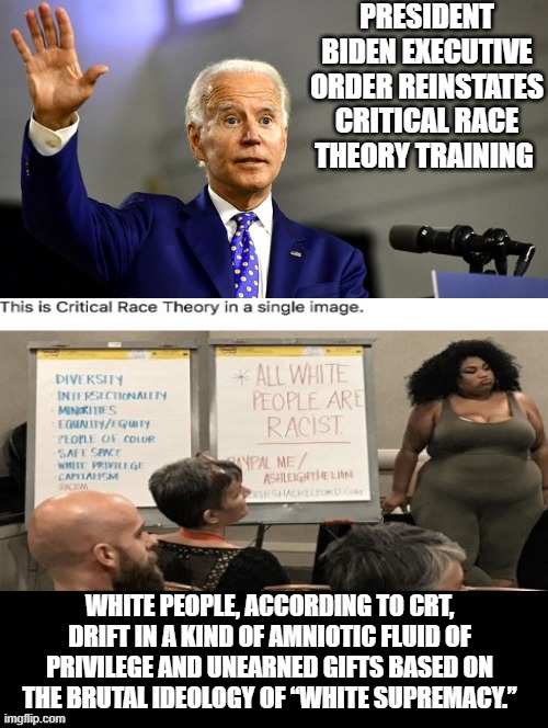 President Biden Executive Order Reinstates Critical Race Theory Training | PRESIDENT BIDEN EXECUTIVE ORDER REINSTATES CRITICAL RACE THEORY TRAINING; WHITE PEOPLE, ACCORDING TO CRT, DRIFT IN A KIND OF AMNIOTIC FLUID OF PRIVILEGE AND UNEARNED GIFTS BASED ON THE BRUTAL IDEOLOGY OF “WHITE SUPREMACY.” | image tagged in stupid liberals,racists | made w/ Imgflip meme maker