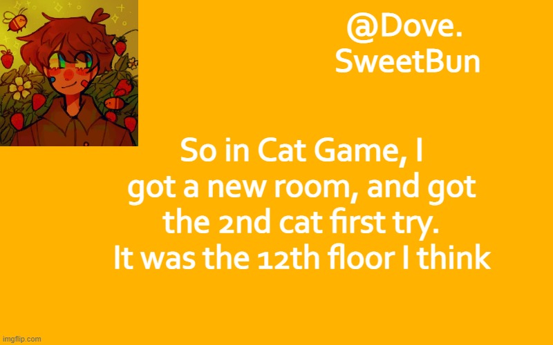 Another template | So in Cat Game, I got a new room, and got the 2nd cat first try. It was the 12th floor I think | image tagged in another template | made w/ Imgflip meme maker