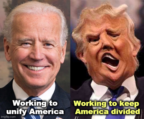 Trump has encouraged division every day. Biden is not the problem. | Working to unify America; Working to keep 
America divided | image tagged in biden,together,trump,fighting | made w/ Imgflip meme maker