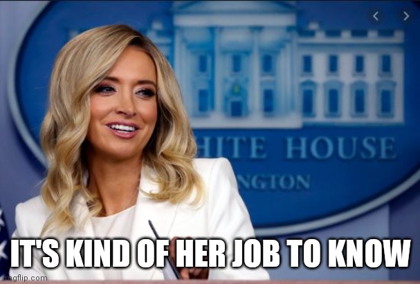 Kayleigh McEnany | IT'S KIND OF HER JOB TO KNOW | image tagged in kayleigh mcenany | made w/ Imgflip meme maker