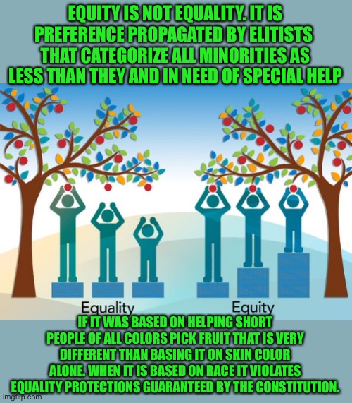 Equity based on Race is preference not equality | EQUITY IS NOT EQUALITY. IT IS PREFERENCE PROPAGATED BY ELITISTS  THAT CATEGORIZE ALL MINORITIES AS LESS THAN THEY AND IN NEED OF SPECIAL HELP; IF IT WAS BASED ON HELPING SHORT PEOPLE OF ALL COLORS PICK FRUIT THAT IS VERY DIFFERENT THAN BASING IT ON SKIN COLOR ALONE. WHEN IT IS BASED ON RACE IT VIOLATES EQUALITY PROTECTIONS GUARANTEED BY THE CONSTITUTION. | image tagged in equality,equal rights,i prefer the real,liars club,liars,elite dangerous | made w/ Imgflip meme maker