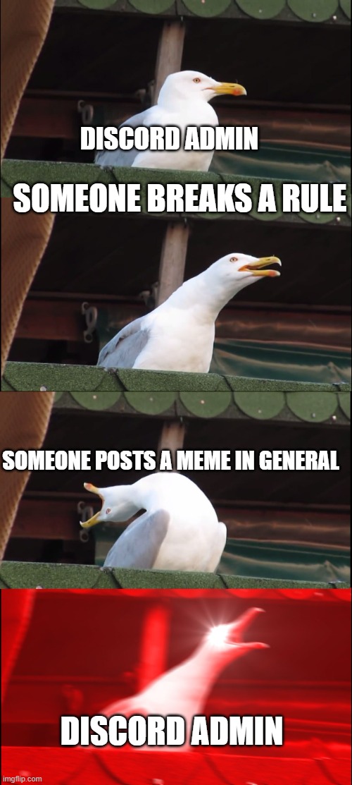 Discord Memes | DISCORD ADMIN; SOMEONE BREAKS A RULE; SOMEONE POSTS A MEME IN GENERAL; DISCORD ADMIN | image tagged in memes,inhaling seagull,discord,admin | made w/ Imgflip meme maker