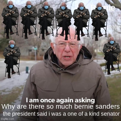 WHY ARE THERE SO MUCH BERNIES | Why are there so much bernie sanders; the president said i was a one of a kind senator | image tagged in memes,bernie i am once again asking for your support | made w/ Imgflip meme maker