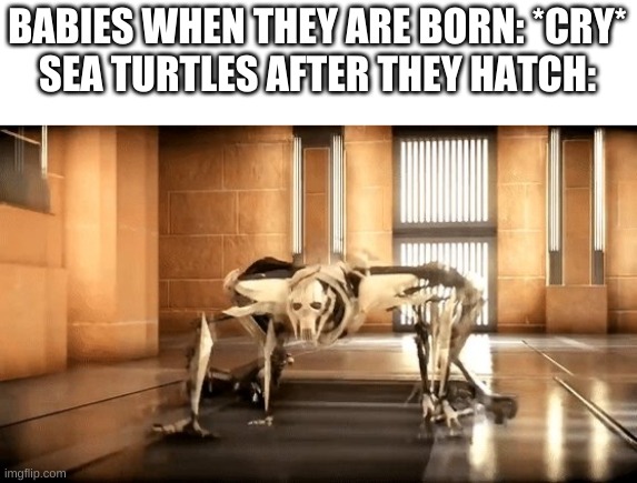 General Grievous Crawl | BABIES WHEN THEY ARE BORN: *CRY*
SEA TURTLES AFTER THEY HATCH: | image tagged in general grievous crawl | made w/ Imgflip meme maker