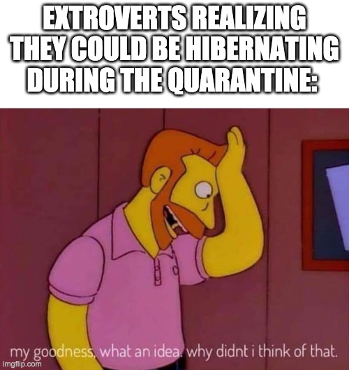 MY GOODNESS IT'S BIG BRAIN TIME | EXTROVERTS REALIZING THEY COULD BE HIBERNATING DURING THE QUARANTINE: | image tagged in my goodness what an idea why didn't i think of that | made w/ Imgflip meme maker