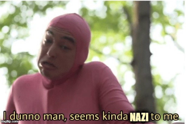 this stream rn like | NAZI | image tagged in i dunno man seems kinda gay to me | made w/ Imgflip meme maker