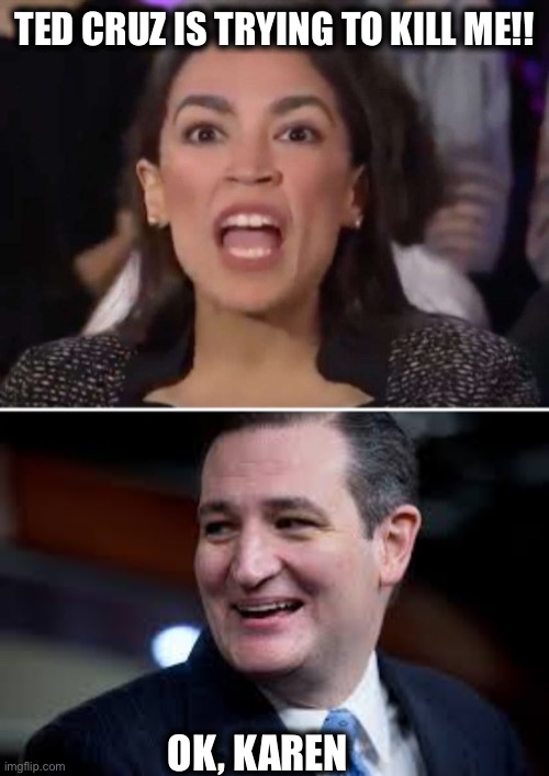 Ted has better things to do than go after some low-IQ ex-bartender representing the dumbest congressional district in the US | TED CRUZ IS TRYING TO KILL ME!! OK, KAREN | image tagged in alexandria ocasio-cortez,ted cruz,memes,democrats,karen,bartender | made w/ Imgflip meme maker