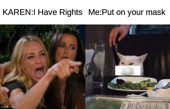 KAREN LIFE | KAREN:I Have Rights; Me:Put on your mask | image tagged in memes,woman yelling at cat | made w/ Imgflip meme maker
