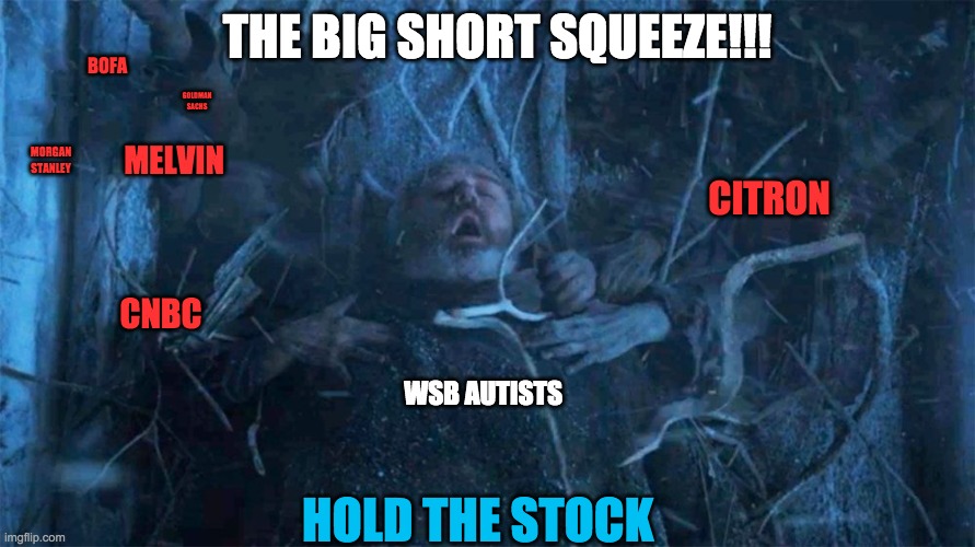 r/wallstreetbets be like | THE BIG SHORT SQUEEZE!!! BOFA; GOLDMAN SACHS; MORGAN STANLEY; MELVIN; CITRON; CNBC; WSB AUTISTS; HOLD THE STOCK | image tagged in hold door hodor | made w/ Imgflip meme maker