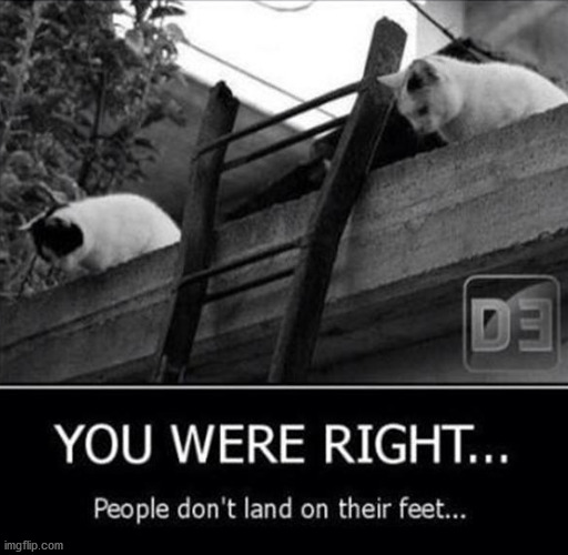 image tagged in dark humor | made w/ Imgflip meme maker