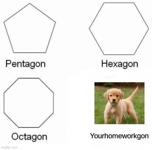 Pentagon Hexagon Octagon Meme | Yourhomeworkgon | image tagged in memes,pentagon hexagon octagon | made w/ Imgflip meme maker