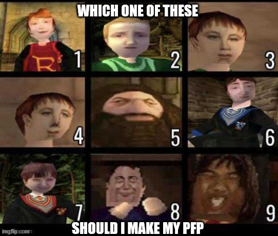 Please I can't decide | WHICH ONE OF THESE; SHOULD I MAKE MY PFP | image tagged in memes,profile picture | made w/ Imgflip meme maker