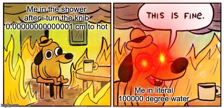 This Is Fine | Me in the shower after i turn the knib 0.00000000000001 cm to hot; Me in literal 100000 degree water | image tagged in memes,this is fine | made w/ Imgflip meme maker