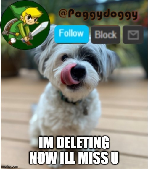 poggydoggy announcment | IM DELETING NOW ILL MISS U | image tagged in poggydoggy announcment | made w/ Imgflip meme maker