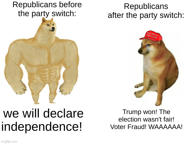 The party switch happened | Republicans before the party switch:; Republicans after the party switch:; we will declare independence! Trump won! The election wasn't fair! Voter Fraud! WAAAAAA! | image tagged in memes,buff doge vs cheems | made w/ Imgflip meme maker