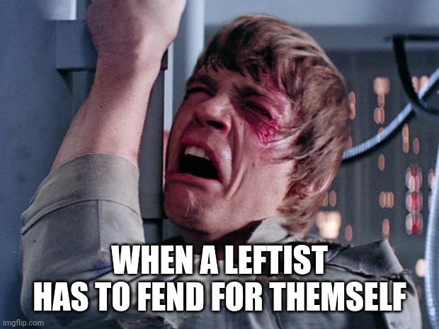 Why socialism? | WHEN A LEFTIST HAS TO FEND FOR THEMSELF | image tagged in luke nooooo,losers,leftists,socialism | made w/ Imgflip meme maker